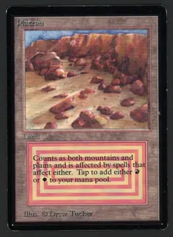 ***Beta Plateau (Light Indent)*** MTG Beta Magic Kid Icarus - Image 1