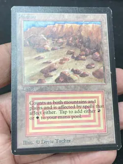 ***Beta Plateau (Light Indent)*** MTG Beta Magic Kid Icarus - Image 3