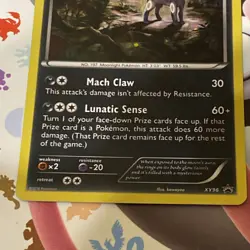 Pokemon Umbreon TCG Holo Black Star Promo Card #XY96 - Image 2