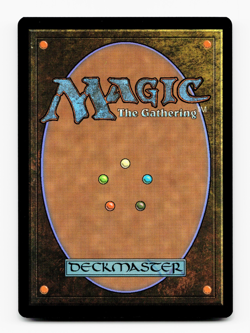 Fyndhorn Elves [Commander Legends] Magic MTG - NM 🌳 - Image 2