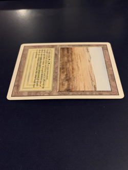 Savannah Revised Edition Regular MTG Dual Land Magic the Gathering - Image 4