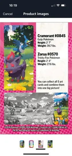 Pokemon TCG Ascended Heroes Mini Tin Zorua & Cramorant New Sealed In Hand - Image 2