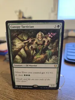 Canopy Tactition Kaldheim Magic The Gathering Near Mint - Image 1