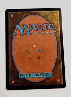 Nut Collector (Borderless) - Dominaria Remastered (DMR) - EN M 440 - Image 2