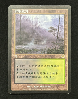 MTG MAGIC THE GATHERING LLANOWAR WASTES RARE APOCALYPSE SIMPLIFIED CHINESE - Image 1