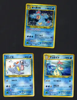 Totodile Evolution Line Set Neo Premium File Japanese Pokemon Cards NM/LP - Image 1