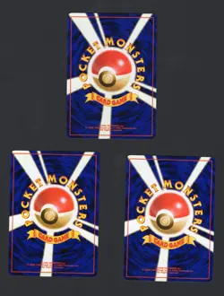 Totodile Evolution Line Set Neo Premium File Japanese Pokemon Cards NM/LP - Image 2