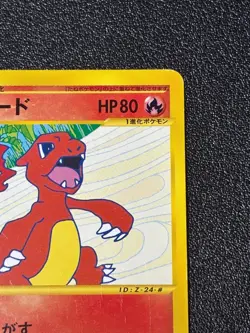 [US Duty Inc] Charmeleon Trainers Magazine 011/T Promo Japanese Pokemon Card - Image 3
