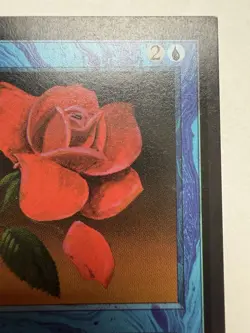 Mana Short Magic The Gathering English Blue Signed By Artist - Image 3