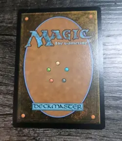 MTG - TLA - The Walls of Ba Sing Se #261 - Regular Near Mint - Image 2