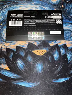 Sealed MTG Secret Lair X Sonic The Hedgehog Chasing Adventure Rainbow Foil - Image 3