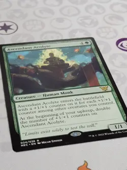 C4592 MAGIC MTG COMMANDER KAMIGAWA NEC ASCENDANT ACOLYTE #024 NM RARE - Image 2