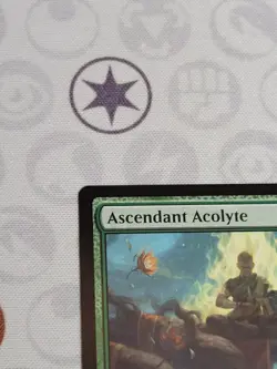 C4592 MAGIC MTG COMMANDER KAMIGAWA NEC ASCENDANT ACOLYTE #024 NM RARE - Image 3