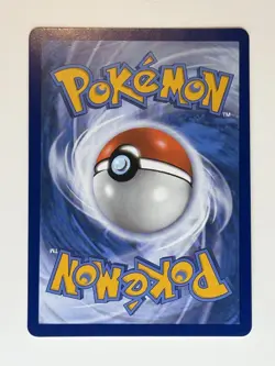 Spark SWSH226 Full Art Trainer Sword And Shield Black Star Promo NM POKEMON - Image 2