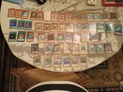 YuGiOh deck Naturia Racoon Beast **Ready to play** - Image 1