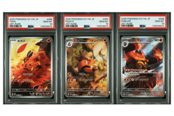 PSA 10 Pokemon Tepig Pignite Emboar Sequential set SV11W White Flare Japanese - Image 1