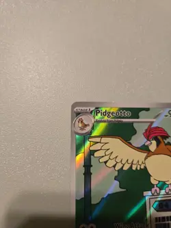 Pokemon TCG Sv03: Obsidian Flames Pidgeotto Holo Illustration Rare Card 208/197 - Image 2