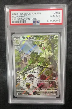 2023 Pokemon Paldea Evolved Floragato 197/193 Illustration Rare PSA 10 GEM MINT - Image 1