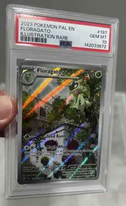 2023 Pokemon Paldea Evolved Floragato 197/193 Illustration Rare PSA 10 GEM MINT - Image 2