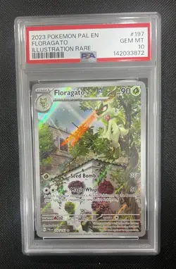 2023 Pokemon Paldea Evolved Floragato 197/193 Illustration Rare PSA 10 GEM MINT - Image 4