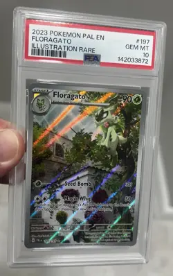 2023 Pokemon Paldea Evolved Floragato 197/193 Illustration Rare PSA 10 GEM MINT - Image 5