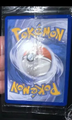 Pokemon Card Giant Black Star Promo Collection Lot Holos TCG Wotc Vintage Sealed - Image 5