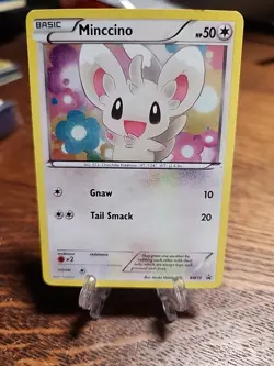 Minccino BW13 Black Star Promo Holo 2011 Pokemon TCG MP - Image 1