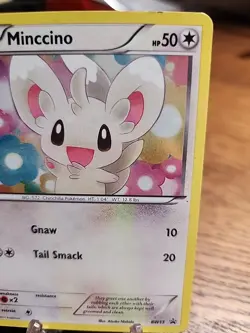 Minccino BW13 Black Star Promo Holo 2011 Pokemon TCG MP - Image 3