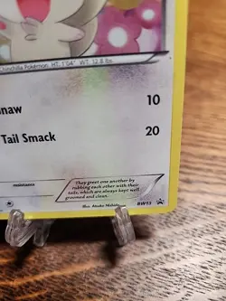 Minccino BW13 Black Star Promo Holo 2011 Pokemon TCG MP - Image 5
