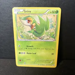 Pokemon TCG NM-Mint condition Snivy RC1/RC25 Reverse Holo Radiant Collection - Image 1
