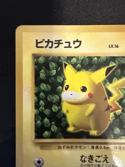 Glossy Ivy Pikachu No.25 Japanese Pokemon Card 1996 Sugimori No Symbol Error - Image 3