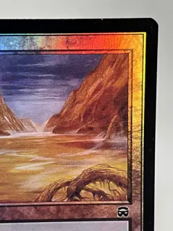 Swamp (339) - Mercadian Masques Foil ~LP~ Magic The Gathering MTG - Image 4