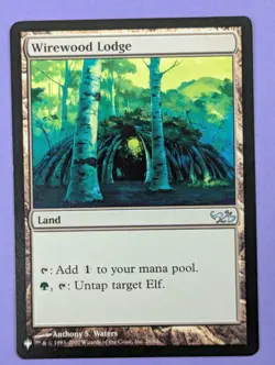 MTG Magic: The List: Wirewood Lodge - DD1 Reprint #26/62 Uncommon - NM - Image 1