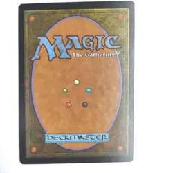 Pariah NM Urza's Saga Chinese Rare 1998 28/350 MTG FBB NM - Image 2