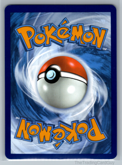 Eevee - Promo SV: Scarlet & Violet Promo Cards Holo 173 NM 006 - Image 2