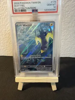 Pokemon Wattrel Twilight Masquerade Illustration Rare #178 PSA 10 Gem Mint - Image 5