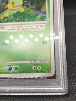 Pokemon Card 2007 Japanese Promo Fan Club 2000 Exp Pts. Turtwig 001/PPP PSA 10 - Image 3