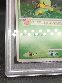 Pokemon Card 2007 Japanese Promo Fan Club 2000 Exp Pts. Turtwig 001/PPP PSA 10 - Image 4