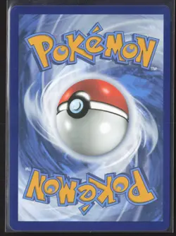 Pokemon TCG | Mega Kangaskhan ex 104/132 | Double Rare | Mega Evolution | NM - Image 3