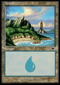 Island (335) Onslaught Magic: the Gathering Heavily Played, English - Image 1