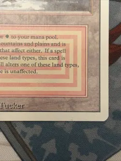 MTG Plateau, Replenish, Lake Of The Dead And Earthcraft - Image 4