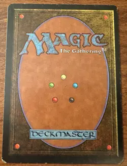 Savannah - Revised Edition (3ED) - MP/LP - Image 2