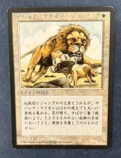 MTG JAPANESE BLACK BORDERED SAVANNAH LIONS FBB MAGIC THE GATHERING WHITE RARE #A - Image 3