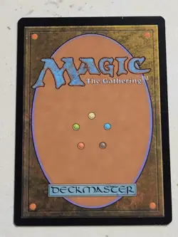 Magic The Gathering- Plains #294 Kamigawa: Neon Dynasty Japanese Full Art - Image 2