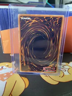 Yu-Gi-Oh! TCG Dark Magician Girl Rise of Destiny Special Edition RDS-ENSE2... - Image 2