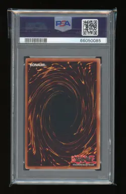 YUGIOH Tournament Pack 2 WARRIOR OF TRADITION TP2-014 Rare Promo PSA 8 NM-MT - Image 2