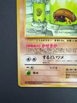 Kabuto Pokemon Card Vending Series Japanese Glossy Old Back MP - Image 5