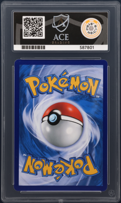 Pokemon Charizard V Alt Art Brave & Charming Stars 2024 ACE Gem Mint 10 - Image 2