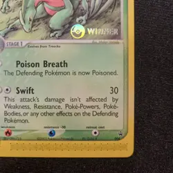 Grovyle 004 Winner Stamped Black Star Promo Pokemon TCG - NM - Image 5