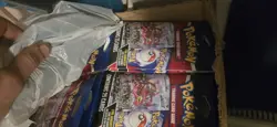 Pokemon Rayquaza VMAX Box 25 Cards Foil Guaranteed English TCG 2 Boxes - Image 1